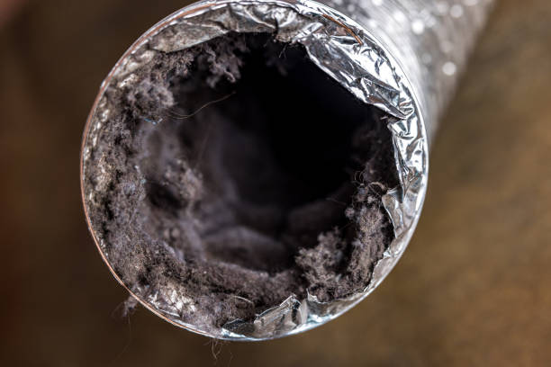 Best Local Air Duct Cleaning Services  in East Douglas, MA
